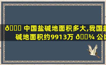 🐘 中国盐碱地面积多大,我国盐碱地面积约9913万 🌾 公顷